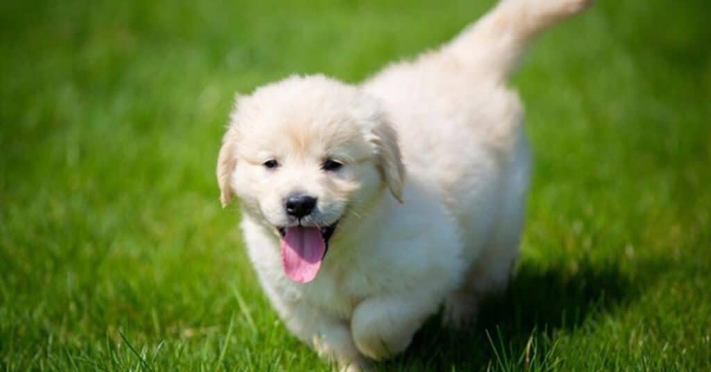 Cute Wednesday Blessings