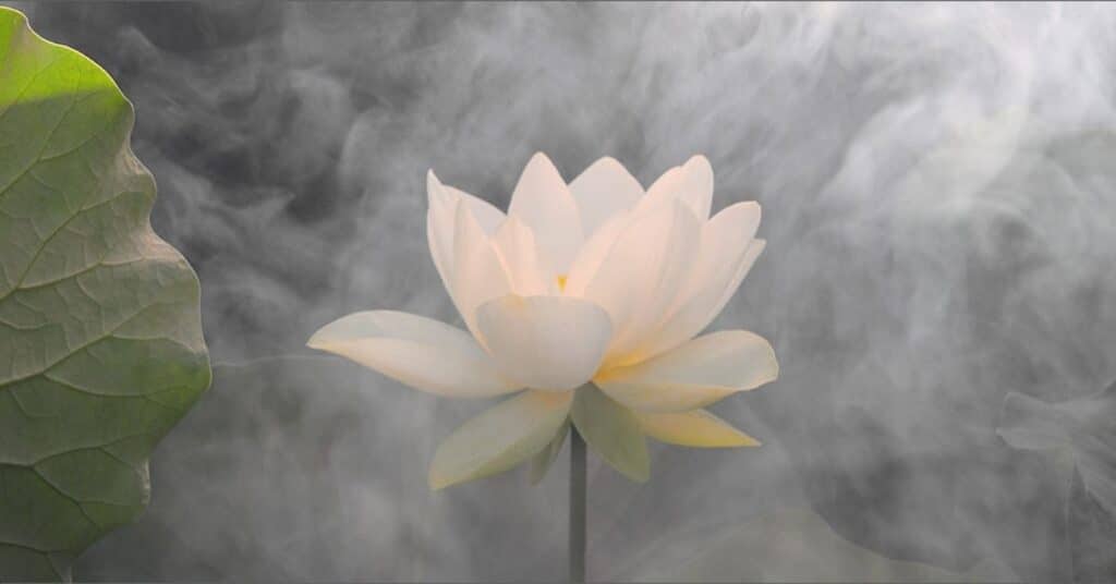 buddha-quotes-on-love